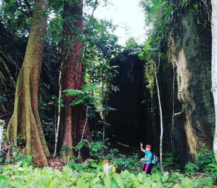 <b class="font-bara"><i class="bi bi-geo-fill h4"></i> PALASYO</b> <br/>This is away from the sitio. If you will visit there, the first thing that you can see outside is only the trees. But if you go inside, you can see the 3 old trees and 4 big rocks formation. In this place, you can also try a wall climbing using the roots.